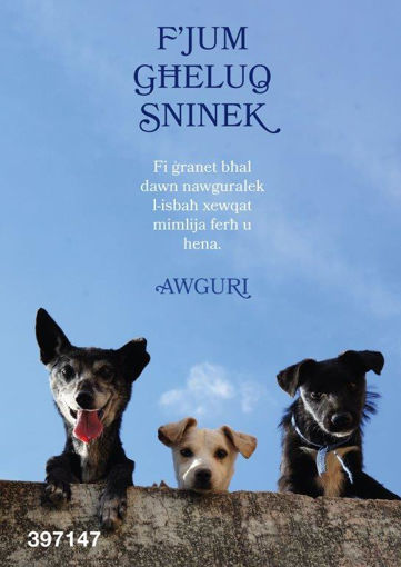 Picture of FJUM GHELUQ SNINEK KARTOLINA
